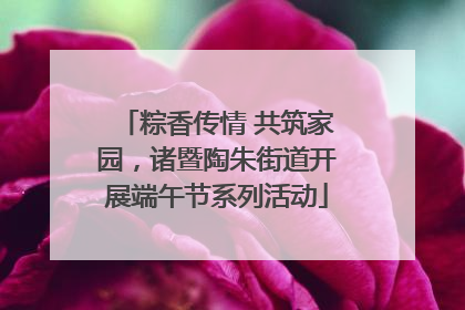 粽香传情 共筑家园，诸暨陶朱街道开展端午节系列活动