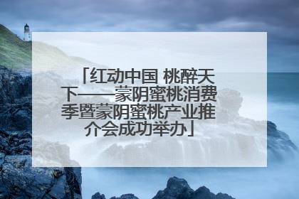 红动中国 桃醉天下——蒙阴蜜桃消费季暨蒙阴蜜桃产业推介会成功举办