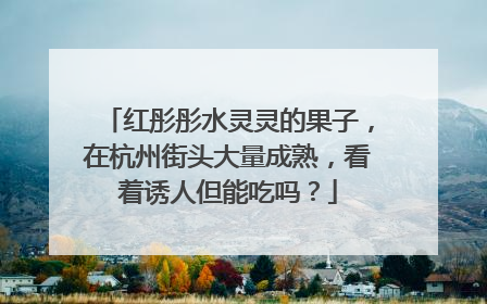 红彤彤水灵灵的果子，在杭州街头大量成熟，看着诱人但能吃吗？