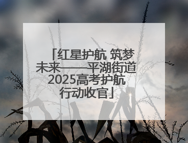 红星护航 筑梦未来——平湖街道2025高考护航行动收官