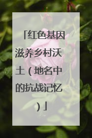 红色基因滋养乡村沃土（地名中的抗战记忆）