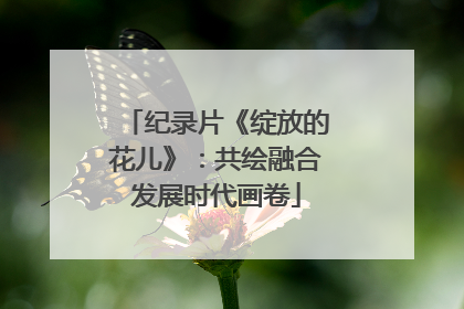 纪录片《绽放的花儿》：共绘融合发展时代画卷