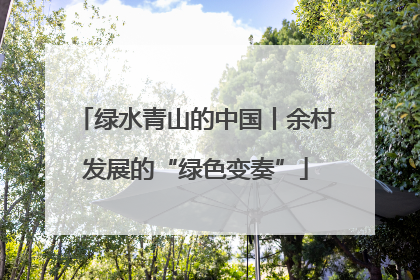 绿水青山的中国丨余村发展的“绿色变奏”