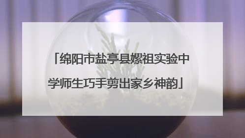 绵阳市盐亭县嫘祖实验中学师生巧手剪出家乡神韵
