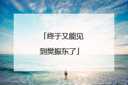 终于又能见到樊振东了