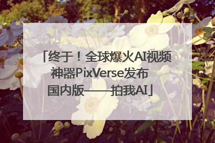 终于！全球爆火AI视频神器PixVerse发布国内版——拍我AI