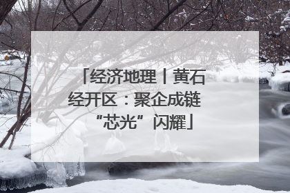 经济地理丨黄石经开区：聚企成链“芯光”闪耀