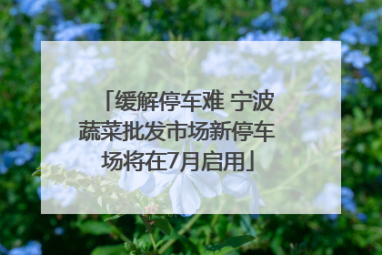 缓解停车难 宁波蔬菜批发市场新停车场将在7月启用