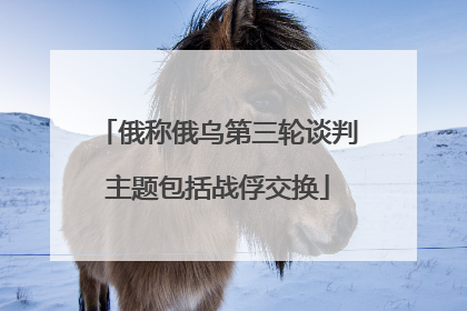 俄称俄乌第三轮谈判主题包括战俘交换