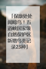 保康处处闻啼鸟！五道峡国家级自然保护区新增鸟类记录23种