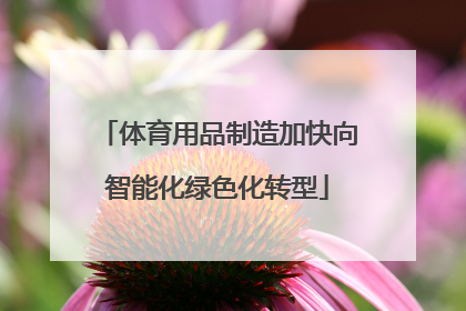 体育用品制造加快向智能化绿色化转型