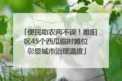 便民助农两不误！睢阳区45个西瓜临时摊位 彰显城市治理温度