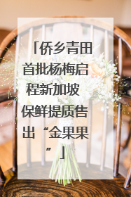 侨乡青田首批杨梅启程新加坡 保鲜提质售出“金果果”