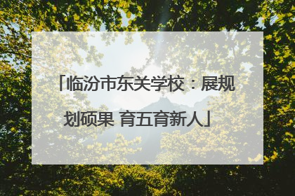 临汾市东关学校：展规划硕果 育五育新人