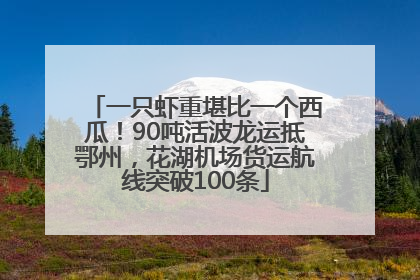 一只虾重堪比一个西瓜！90吨活波龙运抵鄂州，花湖机场货运航线突破100条