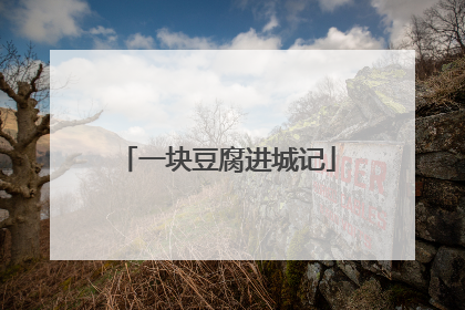 一块豆腐进城记