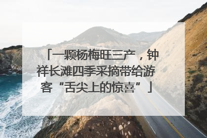 一颗杨梅旺三产，钟祥长滩四季采摘带给游客“舌尖上的惊喜”