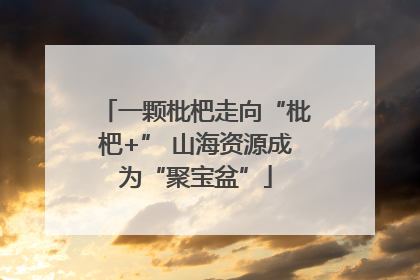 一颗枇杷走向“枇杷+” 山海资源成为“聚宝盆”