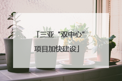 三亚“双中心”项目加快建设