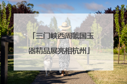 三门峡西周虢国玉器精品展亮相杭州