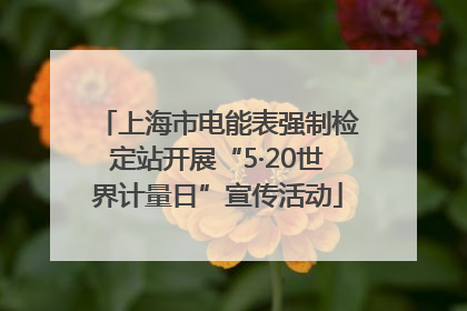 上海市电能表强制检定站开展“5·20世界计量日”宣传活动