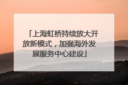 上海虹桥持续放大开放新模式，加强海外发展服务中心建设