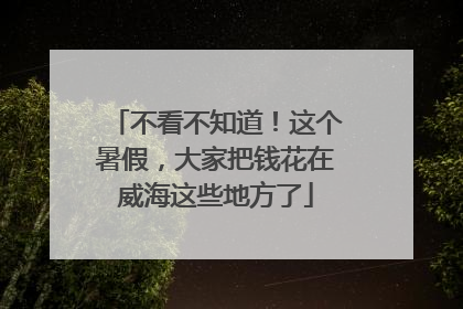 不看不知道！这个暑假，大家把钱花在威海这些地方了