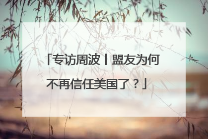 专访周波丨盟友为何不再信任美国了？