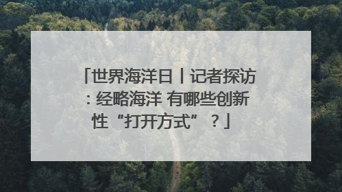世界海洋日丨记者探访：经略海洋 有哪些创新性“打开方式”？