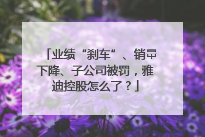 业绩“刹车”、销量下降、子公司被罚，雅迪控股怎么了？