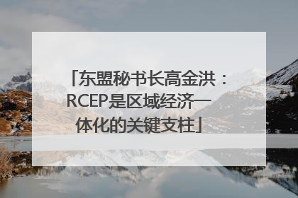 东盟秘书长高金洪：RCEP是区域经济一体化的关键支柱