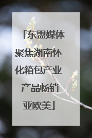 东盟媒体聚焦湖南怀化箱包产业 产品畅销亚欧美