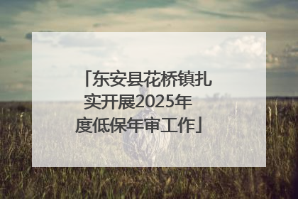 东安县花桥镇扎实开展2025年度低保年审工作