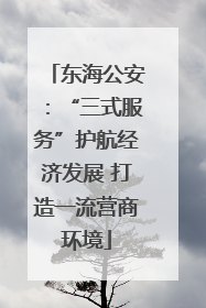 东海公安：“三式服务”护航经济发展 打造一流营商环境