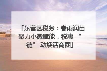 东营区税务：春雨润苗聚力小微赋能，税惠 “链” 动焕活商圈