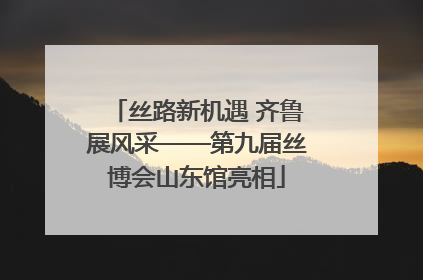 丝路新机遇 齐鲁展风采——第九届丝博会山东馆亮相