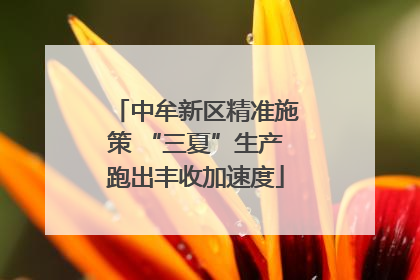 中牟新区精准施策 “三夏”生产跑出丰收加速度