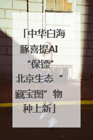 中华白海豚喜提AI“保镖” 北京生态“藏宝图”物种上新