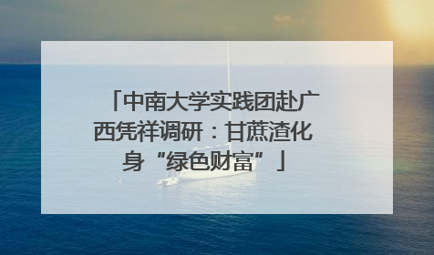 中南大学实践团赴广西凭祥调研：甘蔗渣化身“绿色财富”