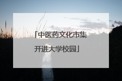 中医药文化市集开进大学校园