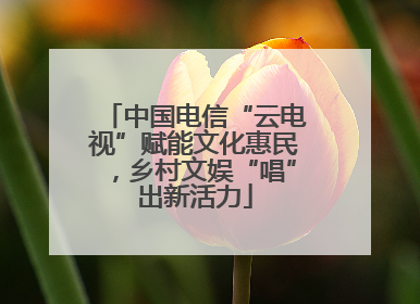 中国电信“云电视”赋能文化惠民，乡村文娱“唱”出新活力