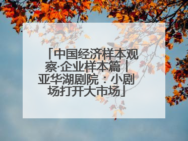 中国经济样本观察·企业样本篇︱亚华湖剧院：小剧场打开大市场