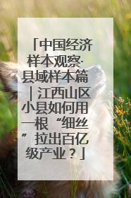 中国经济样本观察·县域样本篇｜江西山区小县如何用一根“细丝”拉出百亿级产业？
