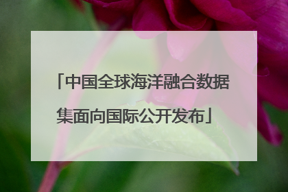 中国全球海洋融合数据集面向国际公开发布