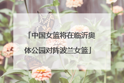 中国女篮将在临沂奥体公园对阵波兰女篮