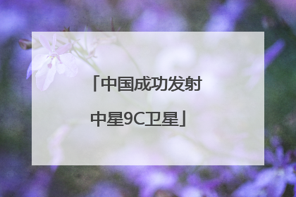 中国成功发射中星9C卫星