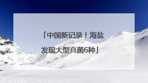 中国新记录！海盐发现大型真菌6种