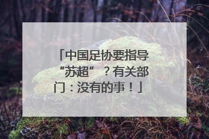 中国足协要指导“苏超”？有关部门：没有的事！