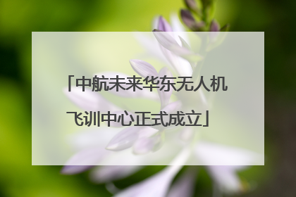 中航未来华东无人机飞训中心正式成立