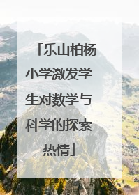 乐山柏杨小学激发学生对数学与科学的探索热情